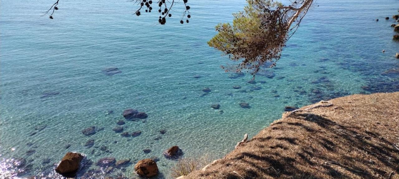 Sanary Cote Mer المظهر الخارجي الصورة